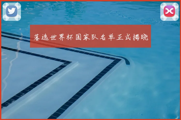 落选世界杯国家队名单正式揭晓