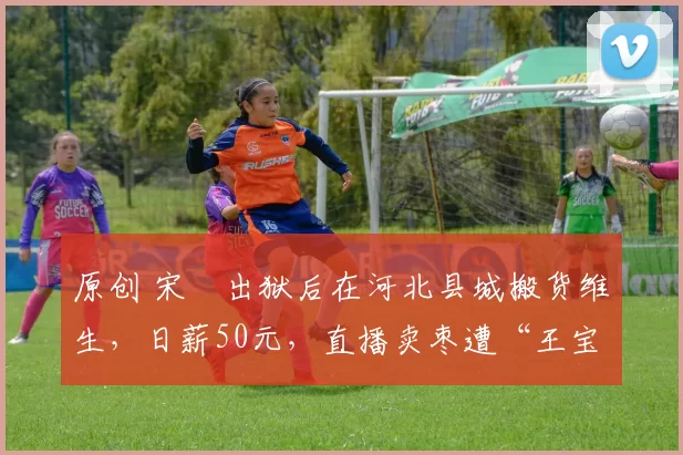 原创 宋喆出狱后在河北县城搬货维生，日薪50元，直播卖枣遭“王宝强”弹幕刷屏零成交，与昔日风光天差地别